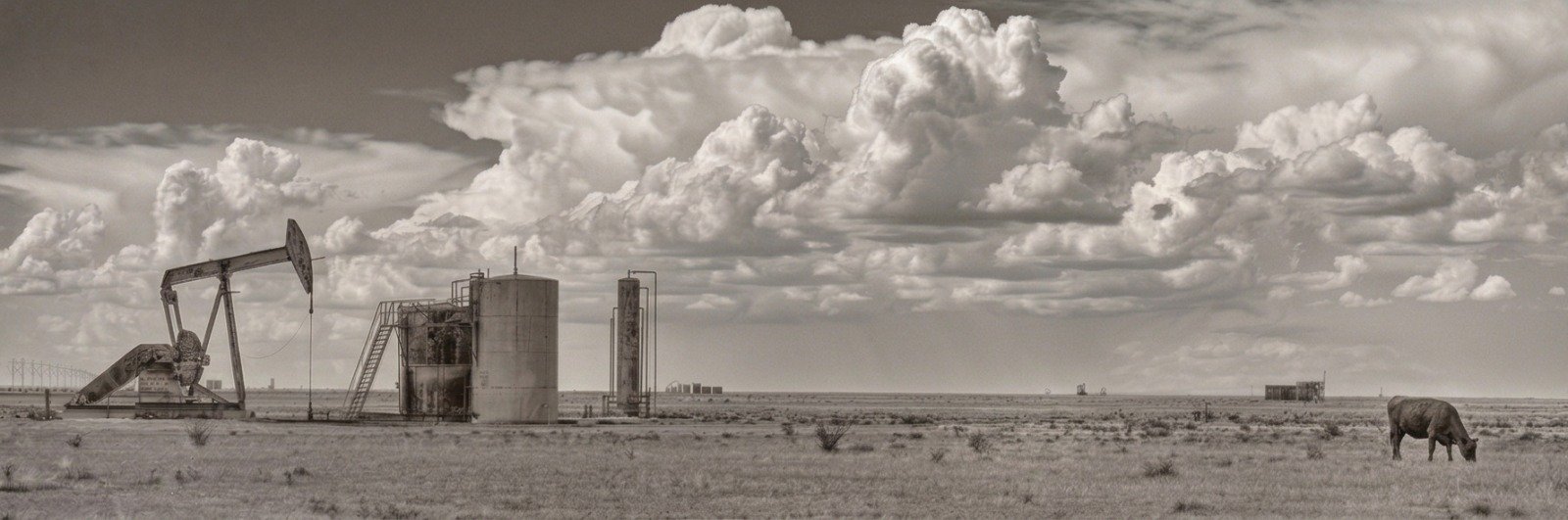 Photograph of Turtle Creek Oil Company field operations